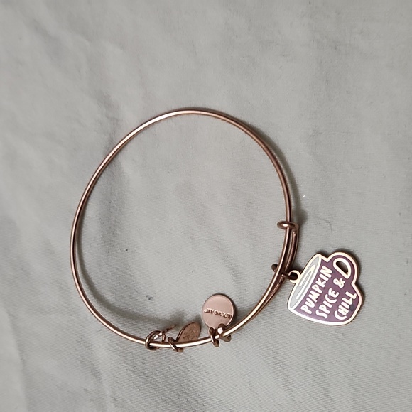 Alex and ani bracelet - Picture 1 of 1